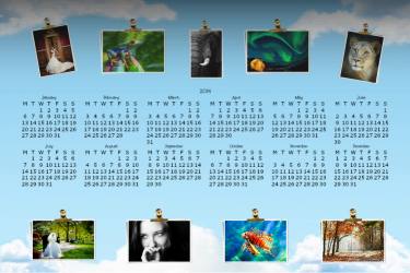 Year Planner (16×24)